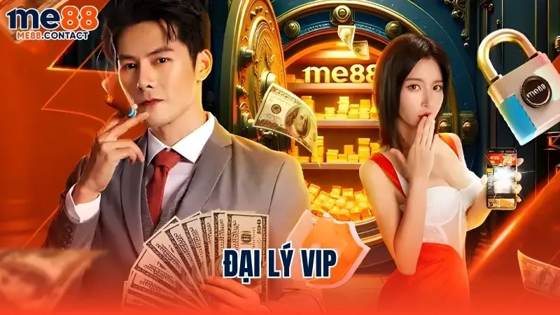 Chính sách đặc biệt dành cho đại lý VIP